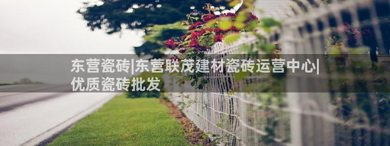 杏鑫官方平台怎么样啊知乎