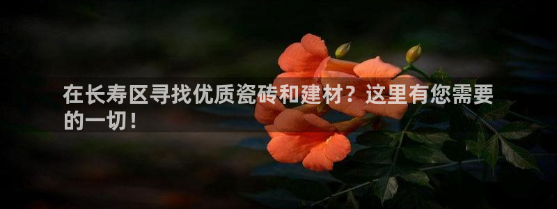 杏鑫平台代理怎么做赚钱