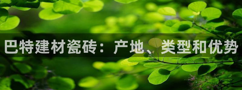 杏鑫平台直属