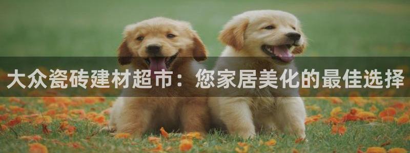 杏鑫平台提供