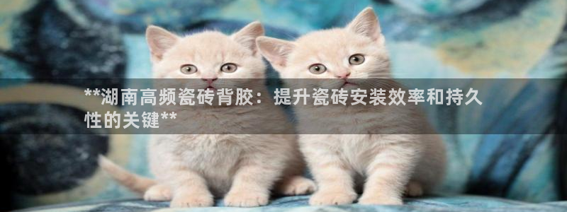 杏鑫官网注册账号怎么注册不了