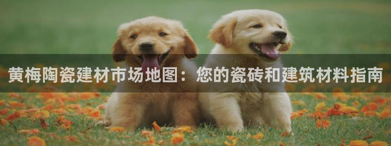 杏鑫平台靠谱吗