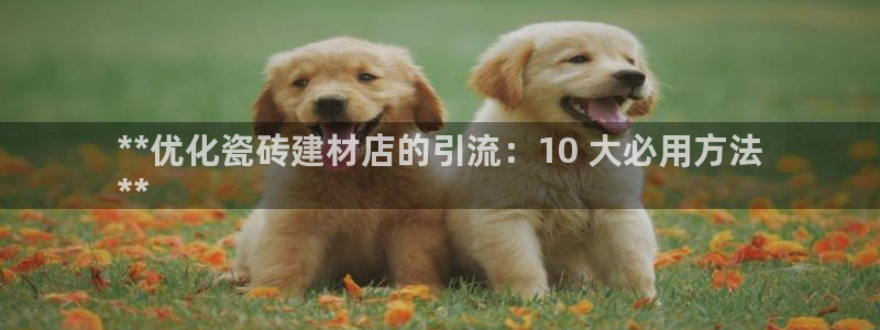 杏鑫平台代理怎么样