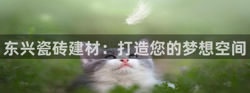 杏鑫平台代理注册多少钱啊