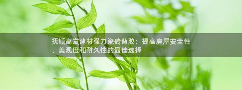 杏鑫平台代理