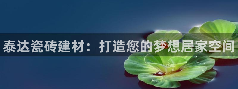 杏鑫平台代理注册多少钱