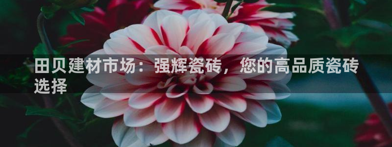 杏鑫平台代理注册登录不了怎么办呀