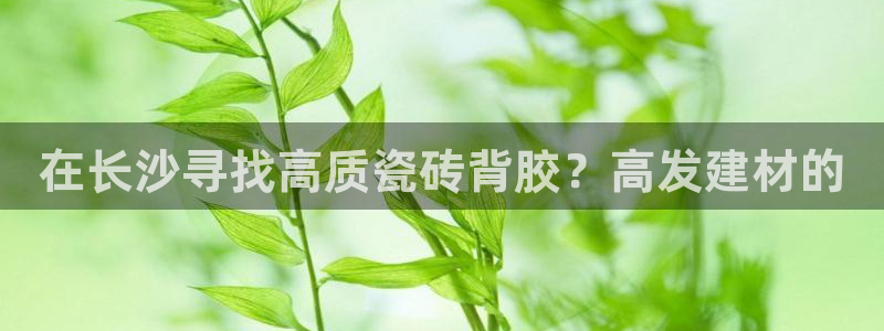 杏鑫平台代理怎么样可靠吗