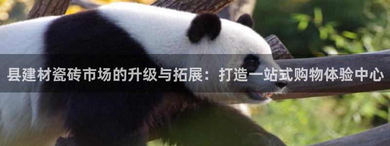 杏鑫平台招商怎么样可靠吗