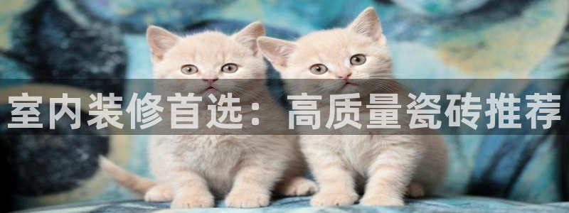 杏鑫平台招商怎么样