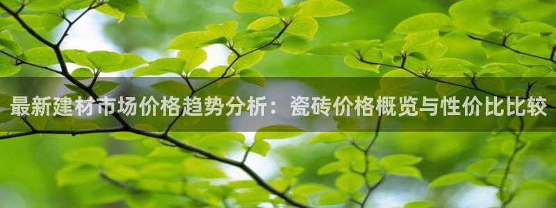 杏鑫平台平台娱乐