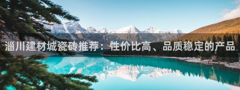 杏鑫平台是黑平台吗