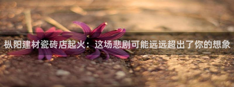 杏鑫官网注册账号密码忘了