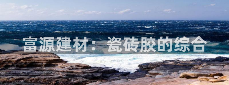 杏鑫代理注册资金多少