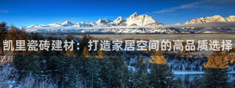 杏鑫手机客户端