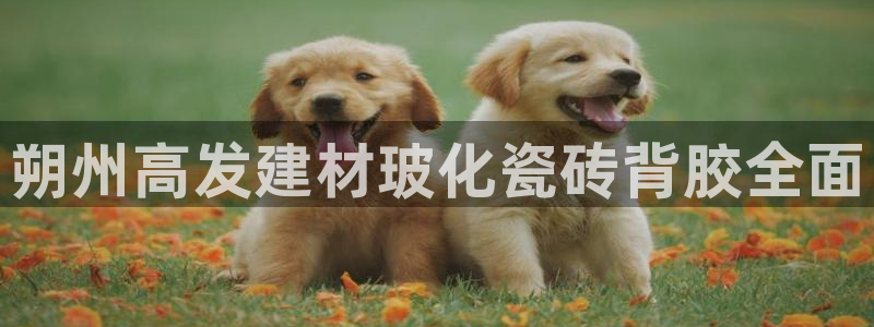 杏鑫娱乐平台测速怎么样