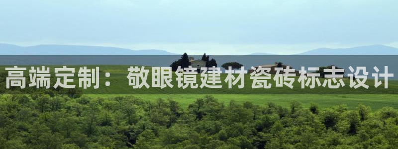 杏鑫官网注册账号是什么样的