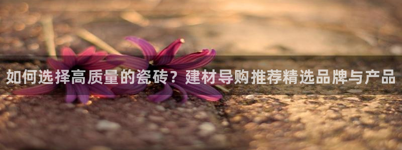 杏鑫娱乐负责人