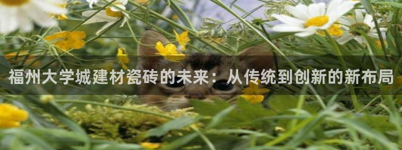 杏鑫官方平台怎么样啊知乎