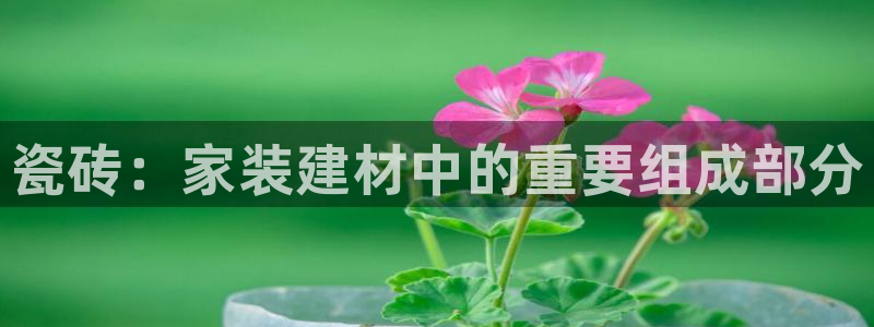 杏鑫平台代理注册多少钱啊