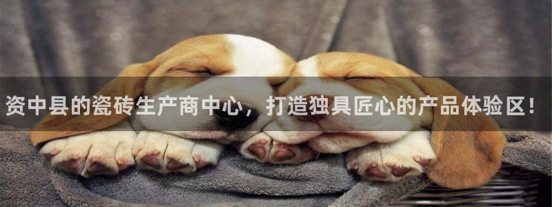 杏鑫平台招商怎么样