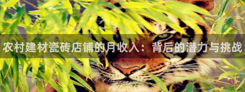 杏鑫平台登录地址在哪